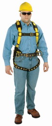Workmanֿȫʽȫ(m)